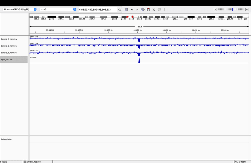 ChIP-seq Epigenetic Analysis