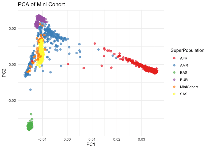 GWAS and Polygenic Risk Score Analysis
